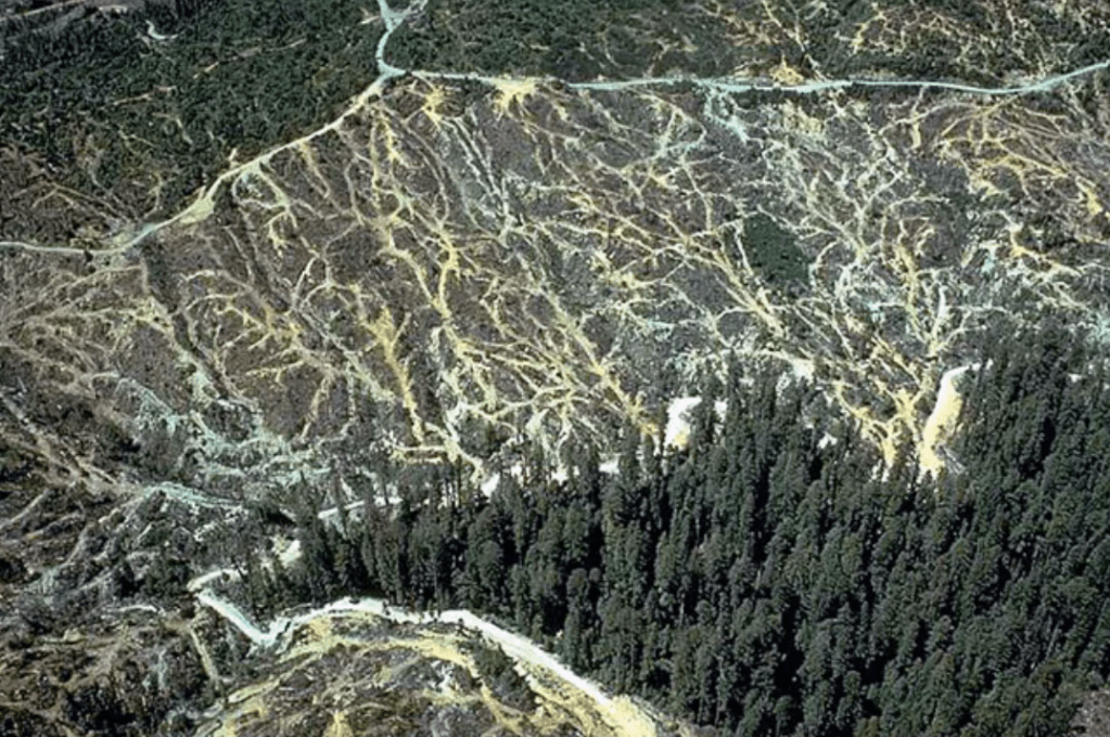 Restoring Forests and&nbsp;Ourselves